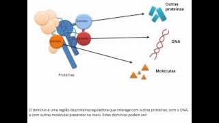 Regulação e Expressão Gênica em Eucariotos [upl. by Elyr644]