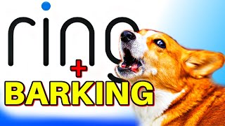 Ring Doorbell with dogs barking [upl. by Eniarda]