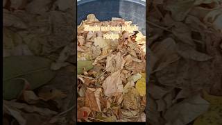 Simple And Easy Soil Mix Recipe For Plants  Potting mix preparationshorts pottingsoil [upl. by Ivens]