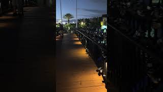 Romantic place in Miami Love Lock Bridge [upl. by Gonroff159]