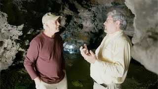 What do Fossils of Hollow Trees tell us about the PreFlood World  Dr Kurt Wise [upl. by Sherburn]