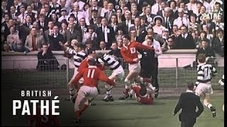 Rugby League Final 1964 [upl. by Akiemat242]