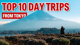 TOKYO Travel Guide  How to Succeed Your Very First Trip to Tokyo [upl. by Heady]