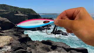 Rock Fishing Central Coast for a QUICK Feed [upl. by Bouzoun]