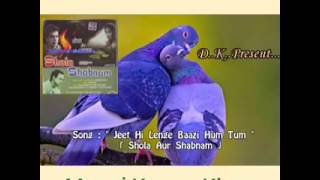 Jeet hi lenge baazi ham tumKaraoke song for female singer [upl. by Aennyl665]