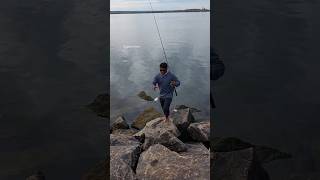 എല്ലാ കാസ്റ്റിലും മീൻ കടിച്ച് വരുന്നുണ്ട് fishing seafishing shorts fishingmalayalam fish [upl. by Trab]