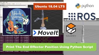 Lesson 16 Print The End Effector Position Using Python Script [upl. by Navonod66]