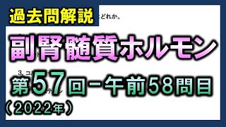 【過去問解説：第57回国家試験午前58問目】副腎髄質ホルモン【理学療法士・作業療法士】 [upl. by Mehs]