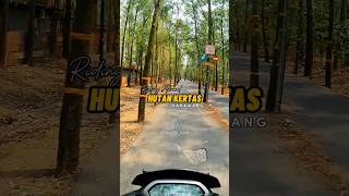 Hutan kertas yang ngehits di tahun 2017 an di Karawang 😃 karawang [upl. by Ratha]