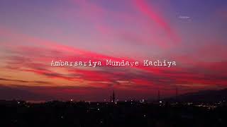 Ambarsariya Remix Ft  DJ Tiger Prince  Sona Mohapatra Fukrey [upl. by Seiber]