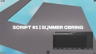 Roblox Sword Fighting Scripts  Summer Cbring [upl. by Nedyah699]