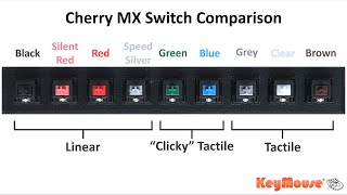 Cherry MX Switch Comparison  KeyMouse [upl. by Elvah428]