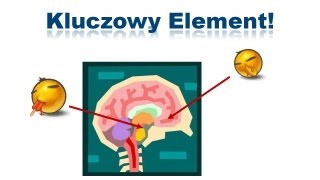 Od wirusowego zapalenia mózgu do wielokrotnie szybszego osiągania celów [upl. by Leorsiy]