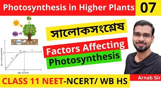 Photosynthesis in Higher Plants 07  Factors Affecting Photosynthesis  in Bengali  Class 11NEET [upl. by Asaert]