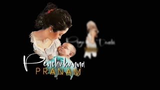 Pegu tenchi nenu penchukunna pranam song lyrical WhatsApp status video [upl. by Gibson]