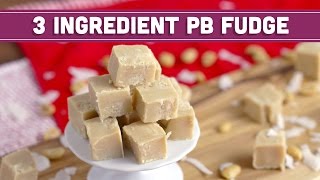 How to Make 3 Ingredient Peanut Butter Fudge Vegan  HOLIDAY FOODIE COLLAB  Mind over Munch [upl. by Bendick549]