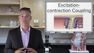 Action potentials in pacemaker cells  Circulatory system physiology  NCLEXRN  Khan Academy [upl. by Aidnyl]