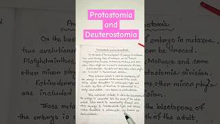 protostomia and deuterostomia zoology biology shortsfeed shorts ytshorts [upl. by Tonie]