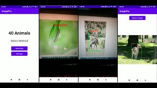 Custom Object Detection Android App  40 Animals  TensorFlow LiteGPU and OpenCV Sample 2 [upl. by Naj445]