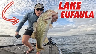 Lake Eufaula Alabama  High School Fishing Tournament TOP 20 [upl. by Flanigan]