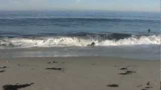 Relaxing 3 Hour Video of California Ocean Waves [upl. by Martyn]