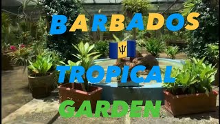 Explore The Lush Beauty Of Barbados Tropical Gardens 🌴🌺🇧🇧 [upl. by Yeclehc211]