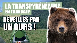 05 La Transpyrénéenne en Transalp  Réveillés par un ours 🐻 [upl. by Jethro]