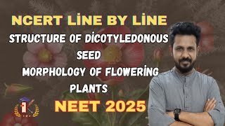 structure of Dicotyledonous seed in tamil [upl. by Hadeis]