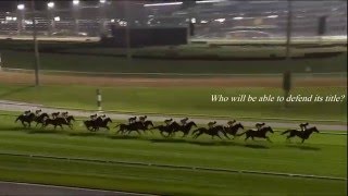 Dubai World Cup 2016  Promo Seven Nation Army [upl. by Fairfield]