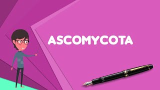 What is Ascomycota Explain Ascomycota Define Ascomycota Meaning of Ascomycota [upl. by Agathe491]