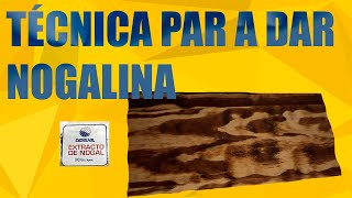 DESCUBRE Como aplicar 🖌️​🖌️​🖌️ tinte nogalina a un tablero o mueble 🪑🪑🪑 [upl. by Zantos]