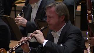 Brahms Violin Concerto oboe solo Albrecht Mayer [upl. by Eelahc752]