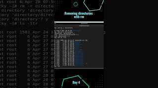 Remove 10 directories at once in Linux linuxadmin opensystem linux linuxadminconquertheterminal [upl. by Ellivnarg]