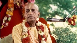 Real Varnasrama by Srila Prabhupada SB 5 6 10 Bombay December 28 1976 [upl. by Ardnalak476]