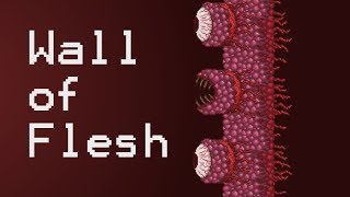 Terraria 1307 Expert Wall of Flesh kill Ranger [upl. by Ayam]