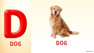 Learn About Dogs Pronounce Dog amp Sing Along with a Fun Dog Song for Kids 🐶 [upl. by Chader161]