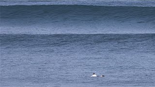 Blue Lines Of Uluwatu [upl. by Nnylyaj]