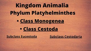 Phylum Platyhelminthes  Class Monogenea  Class Trematoda [upl. by Emelina]