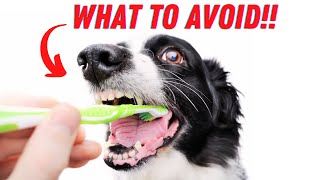 How to Take Care of Your Dogs Teeth 👉 from a Veterinarian [upl. by Richie]