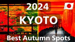 I Visited Japans Best Autumn Color Locations In Kyoto 2024 [upl. by Hannahc]