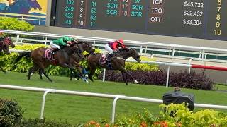 Last Day of Horse Racing at Singapore Turf Club [upl. by Dale]