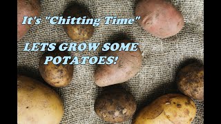 What is quotChitting Potatoesquot and how do I do it [upl. by Trilley323]