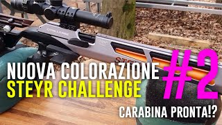 Steyr Challenge  Field Target rifle custom colorampparts [upl. by Sosthina945]