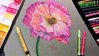 Why dont I use these More Using Caran DAche Neocolor 2 Watercolor Crayon to Paint a Poppy [upl. by Heller]