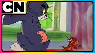 Tom amp Jerry 😺🐭  An Ode to Chaos  Nonstop Masti 🤩 Funny Chases 😆 Only on Cartoon Network [upl. by Rabelais598]