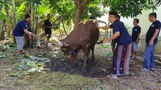 Idul Adha Mushola Baiturrohman Blok Karangmalang Bodesari Plb Crb 1445 H [upl. by Jamima816]