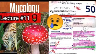 Opportunistic Mycoses 🛑 Chap 50 part 2 candida cryptococcus aspergillus mucor rhizopus [upl. by Studdard]