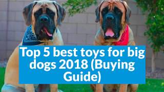 Top 5 best toys for big dogs 2018 Buying Guide [upl. by Hagai774]