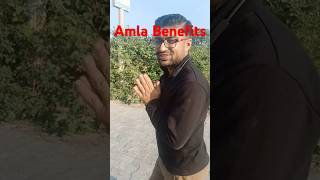 Amla benefits ❤️ viralshort viralreels nature health healthylifestyle tiktok nutrition amor [upl. by Tyree]