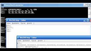 Batch converter  Binary to ascii decimal and hexadecimal [upl. by Abisha]